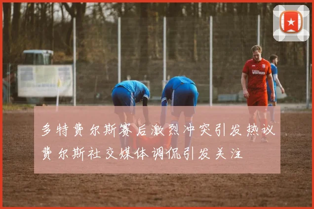 多特费尔斯赛后激烈冲突引发热议费尔斯社交媒体调侃引发关注